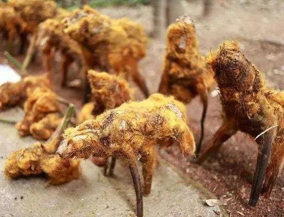 中藥知多少？&mdash;&mdash;狗脊