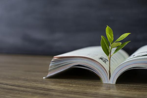 師道 中國教師制度改革40年回顧