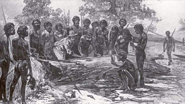 “村口大黃”到澳變身頂級殺手,吃袋鼠偷綿羊讓人頭疼,憑什麼? “村口大黃”到澳變身頂級殺手,吃袋鼠偷綿羊讓人頭疼,憑什麼?