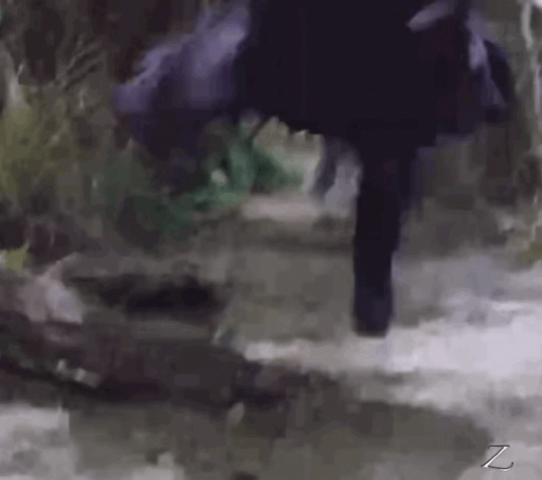 看夠了各式敷衍打戲，什麼時候古裝劇才能重現那種來去自如的俠氣