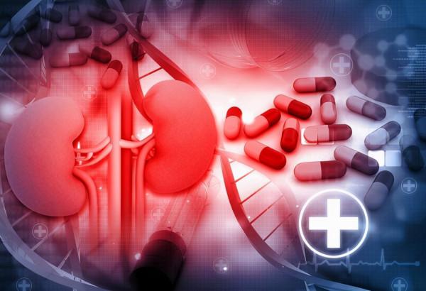 lgA腎友快來看:2種lgA腎病患者,容易發生腎衰竭 lgA腎友快來看:2種lgA腎病患者,容易發生腎衰竭