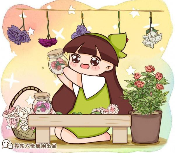 家中養花養不活?不是你不會養!試試這3種花 家中養花養不活?不是你不會養!試試這3種花