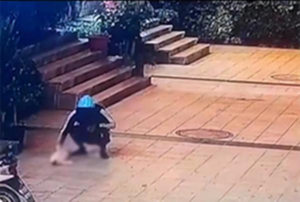 外賣騎手虐貓，被監控全程拍下