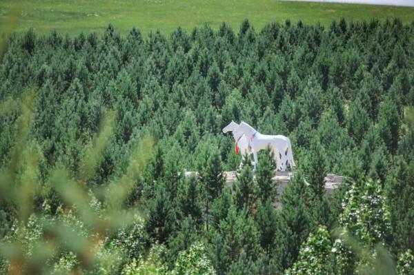美妙夏日，世界四大草原之一，最好吃的羊肉，錫林郭勒自駕攻略