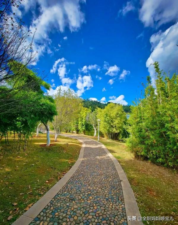 分享——雲南的“秋”