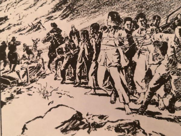 四野傳奇猛將賀晉年，剿匪專治各種不服，百年匪患，一舉蕩平