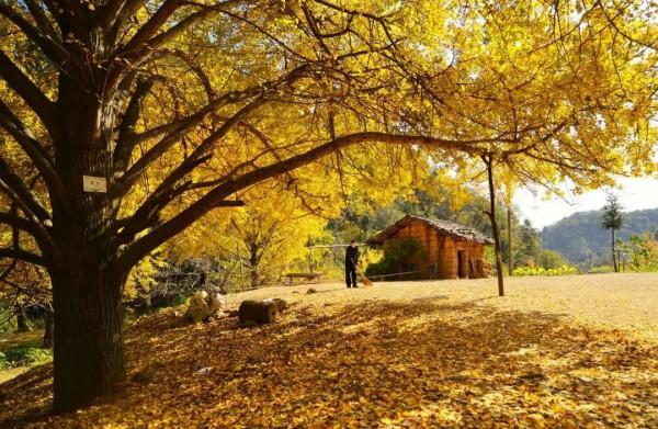 一眼心動！這個秋天，我要去這7個“最”中國的古村，享受慢時光