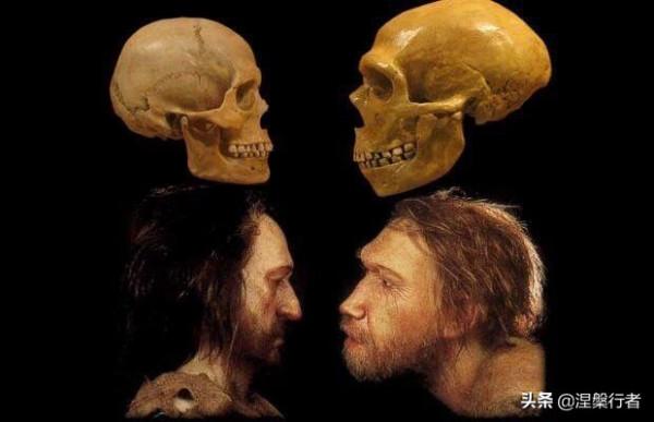 人類褪毛簡史 人類褪毛簡史