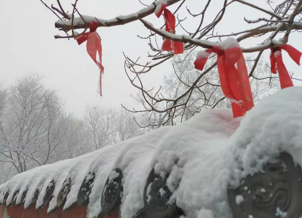 美翻了，冬天去王母山的N個理由