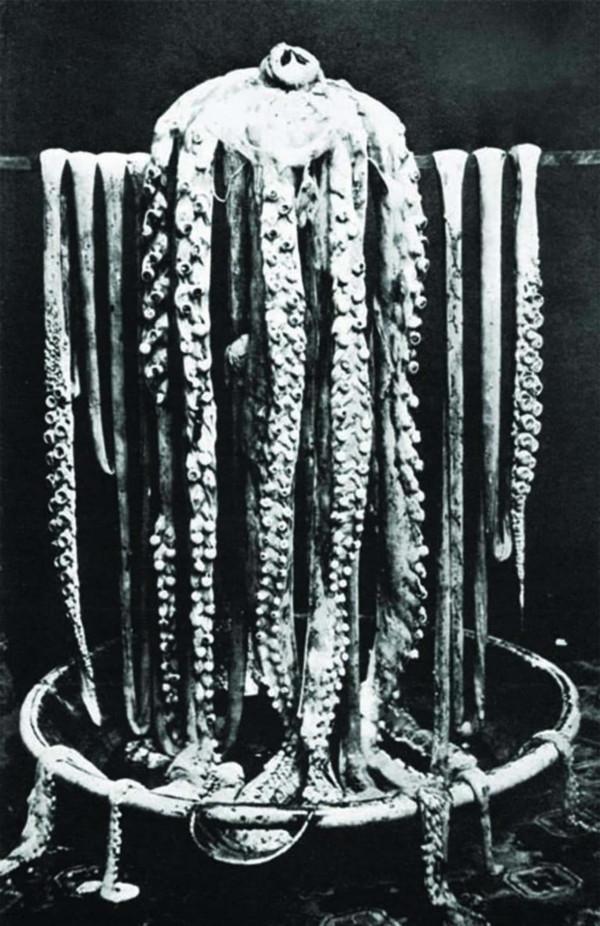 大多數人從未見過的17張歷史上“第一”的歷史照片