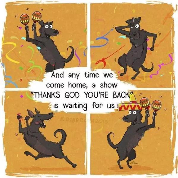 給流浪狗安家容易，改變它流浪的辛難，其實你只需要這麼做…漫畫