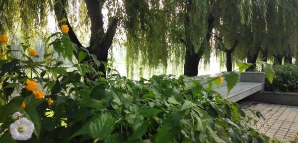 讀黃帝內經 讀黃帝內經