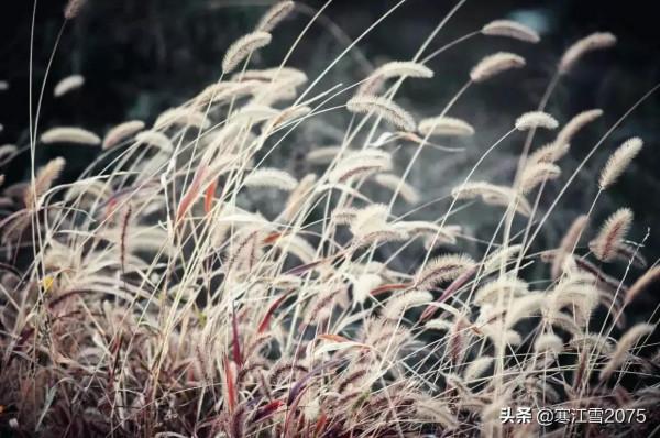 涵育有趣的靈魂,一定要多讀閒書 涵育有趣的靈魂,一定要多讀閒書