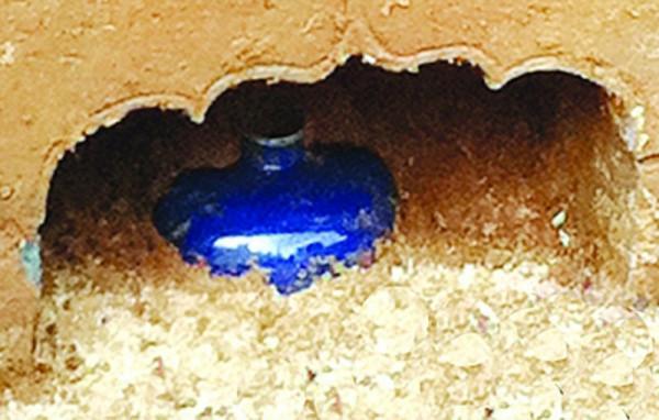 宣德酒藍釉香爐―鑑定