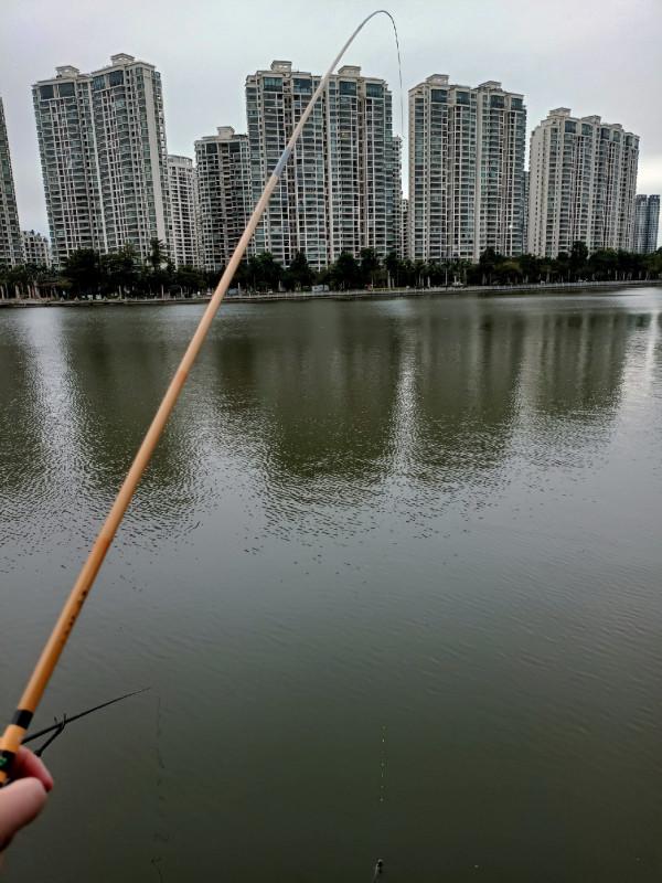 早起的鳥兒有蟲吃，晨釣提竿遛大魚&hellip;&hellip;