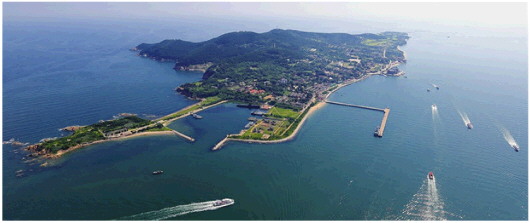 張佩綸日記中的1894年 張佩綸日記中的1894年