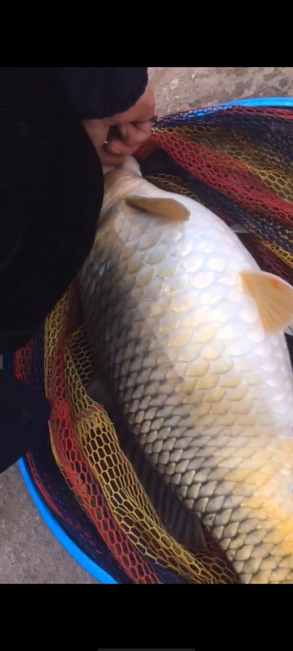 垂釣之旅——日行千里，只為漁你相見