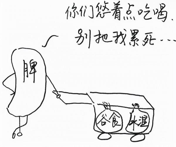 頭暈眼花站不住？關鍵在於有痰溼，1個方子，健脾化痰溼，止眩暈