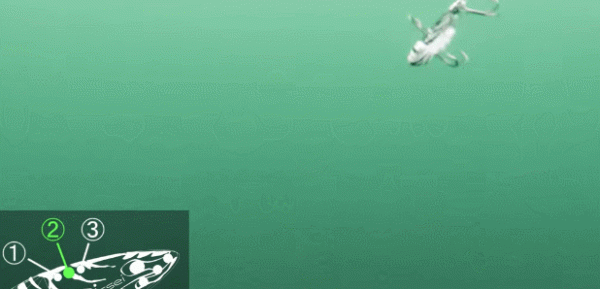 「漁具資訊」「issei」AME VIB