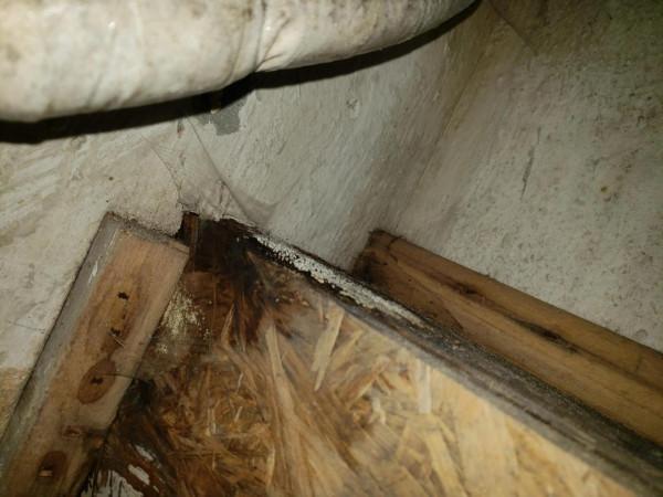 裝修一定要預留 裝修一定要預留