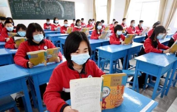 觀察：縣城再無清華北大的後果