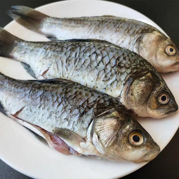 冬天吃魚，&OpenCurlyDoubleQuote;內行人&rdquo;專挑5種，魚肉細嫩，魚刺少，人人買得起