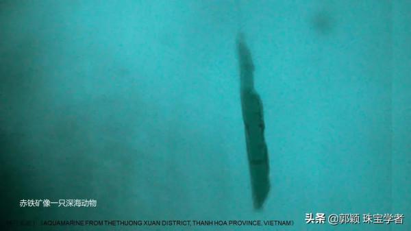 來看看海藍寶石的另一面吧