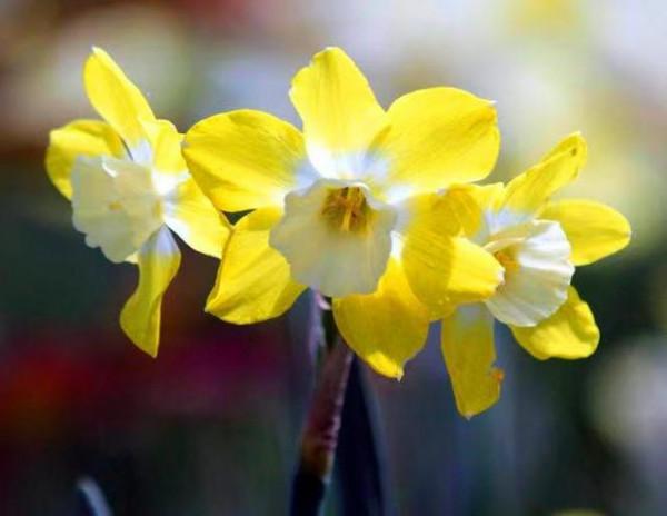 人到中年：人際關係斷、舍、離，是智慧的巔峰