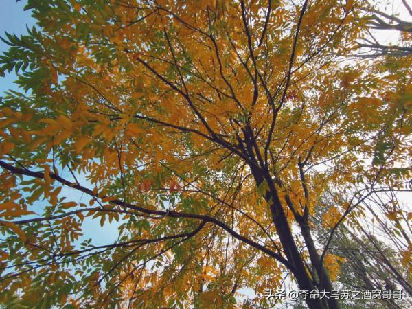 五百灘公園，每週一個公園，今天走進五百灘公園