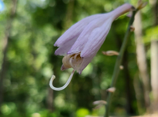 圍觀！三星 Galaxy Z Fold 3評測：全球首款UDC摺疊屏手機，潮奢完美