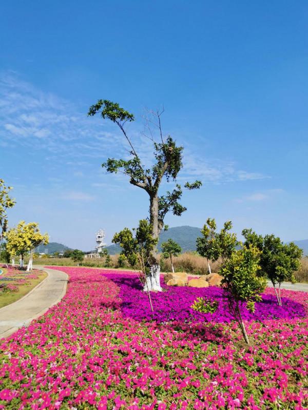 橫琴芒洲溼地公園：美、大