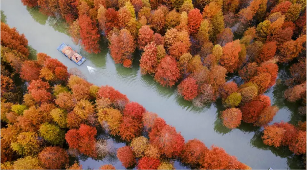 精心挑選的8個治癒系旅行地，當你累了倦了，就挑一個，出發吧