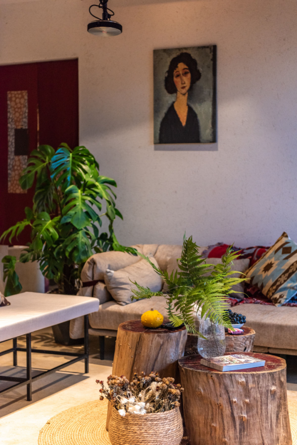 臥室養4種花，一覺睡到天亮，養人養身心