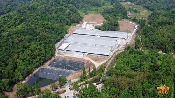 90後小夥投資8000萬養豬