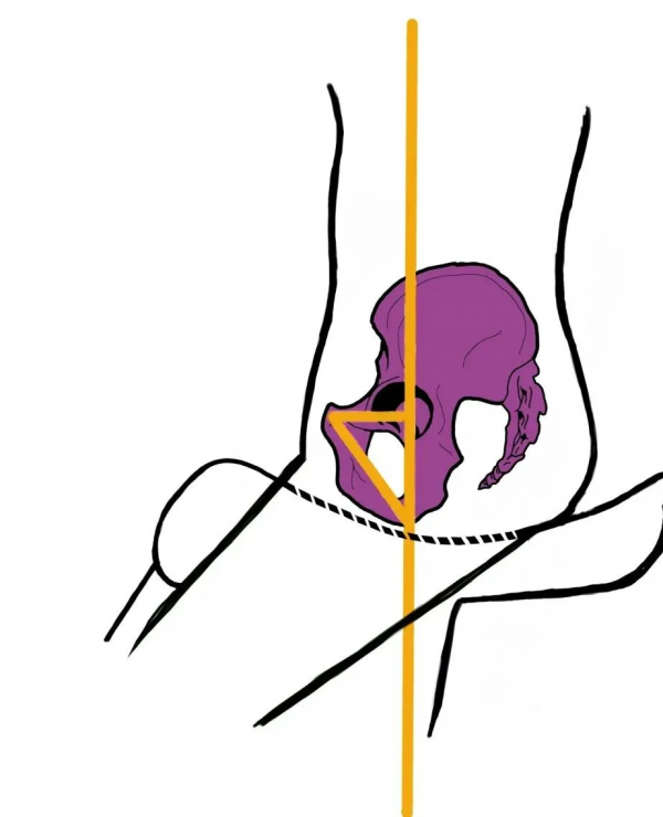 用重心和坐骨更有效地輔助馬匹進行轉彎