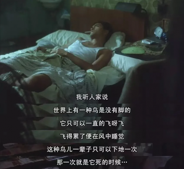 海晏河清尊的燕耳，果真是北京雨燕麼？