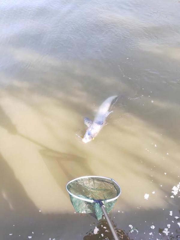 同道中的你是如何保養魚竿？歡迎留言交流