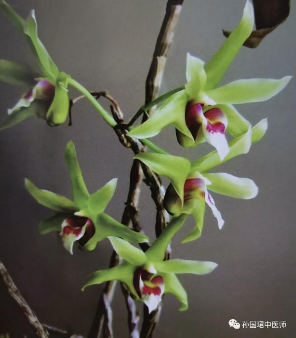 高脂血症的飲食和生活方式調節