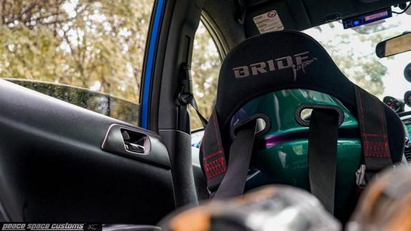 對於翼豹的愛,與年齡無關 對於翼豹的愛,與年齡無關