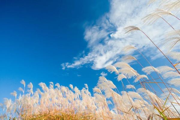 感到迷茫時，就讀一讀這30個句子，能讓你豁然開朗