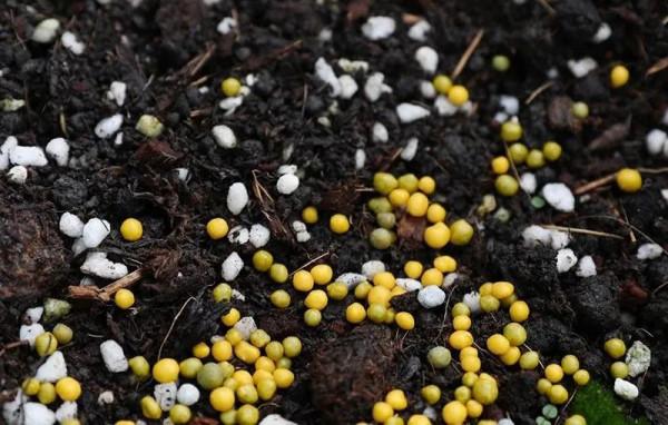 售價上百元的養花土,在家就能自己配,一點都不比買來的差 售價上百元的養花土,在家就能自己配,一點都不比買來的差