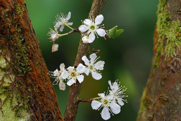 處女座女生2022年運勢詳解,好運將飛速上升,各方面有很大進步 處女座女生2022年運勢詳解,好運將飛速上升,各方面有很大進步