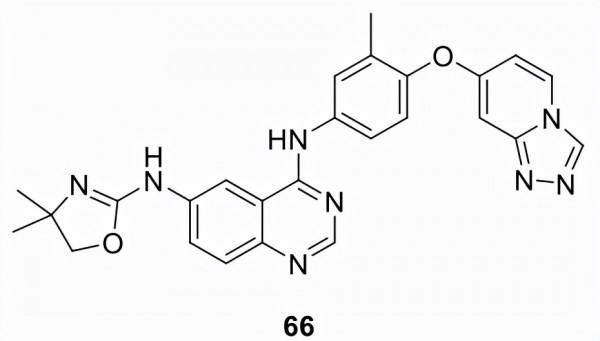 藥物發現&boxv;FDA批准的小分子激酶抑制劑&lpar;1995&minus;2021&rpar;