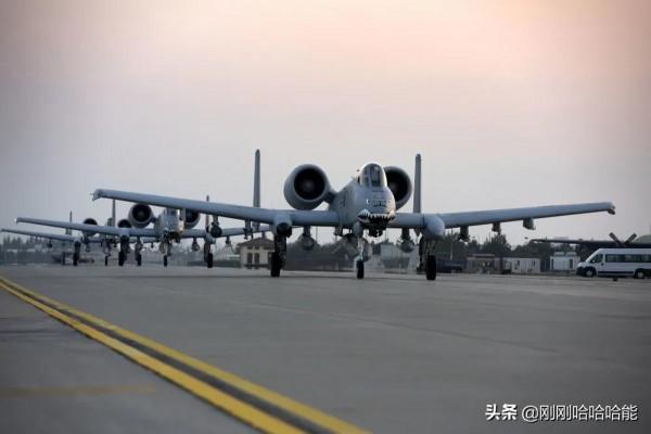 令人左右為難的“疣豬”終於活了下來 令人左右為難的“疣豬”終於活了下來