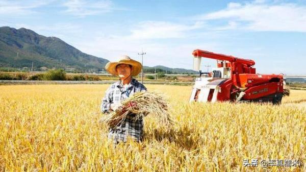 國家要“動真格”了?高層住宅將被嚴控,未來或會面臨“停建”? 國家要“動真格”了?高層住宅將被嚴控,未來或會面臨“停建”?