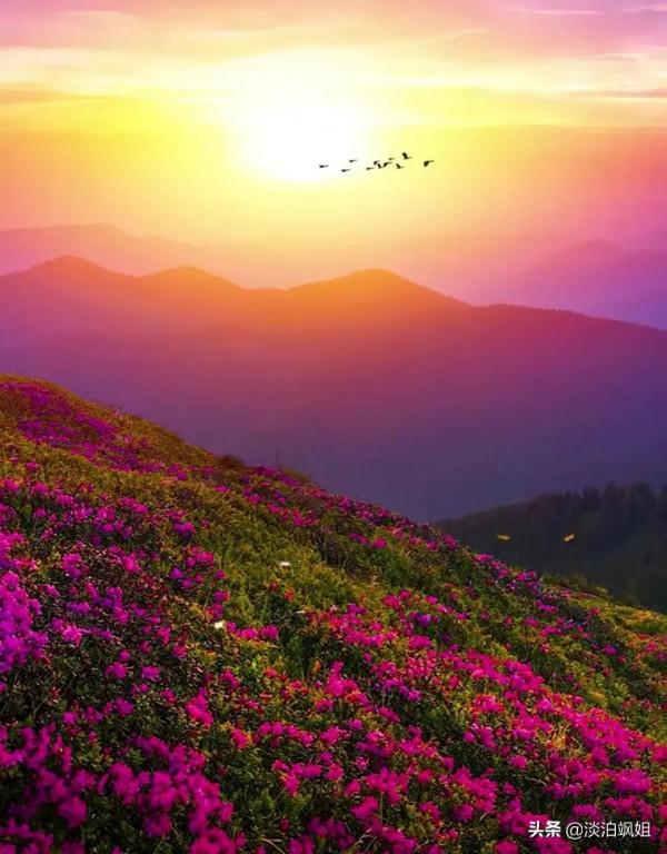 震撼世界的絕美自然風光（六十個圖片）