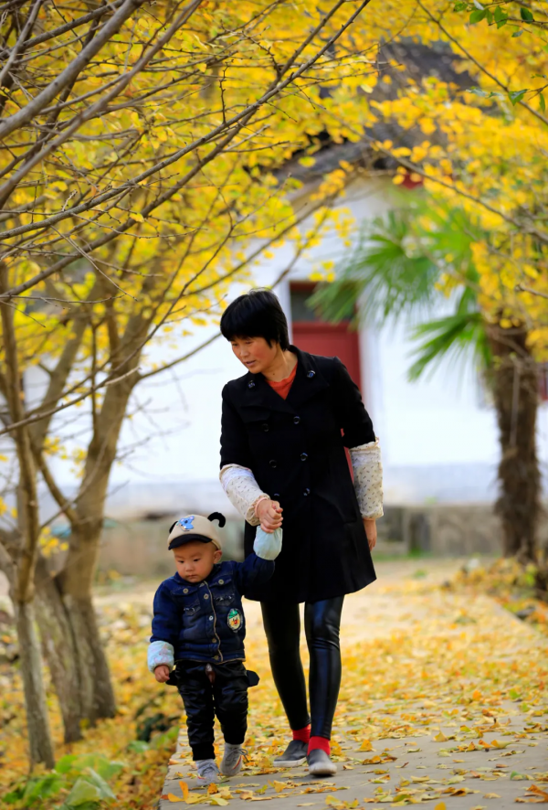 一不小心，闖入了3000年的秋~