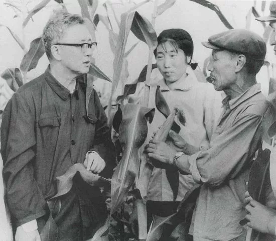 一代數學天才華羅庚，為何去世之前跟妻子分居五年？