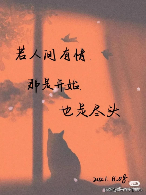 認清現實，做好自己