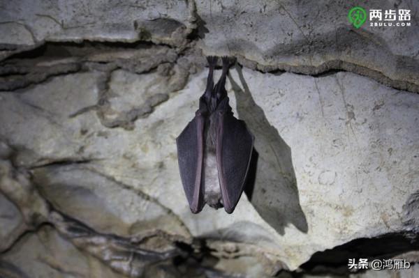 一處鮮為人知的絕美景觀——本溪縣鹼廠三潭洞探秘